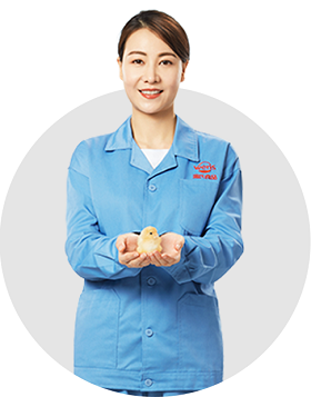 ob欧宝电竞·(中国)官方网站入口